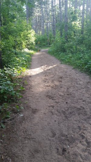 Sandy horse path from between Horseriders and Bluff. Not good running.
